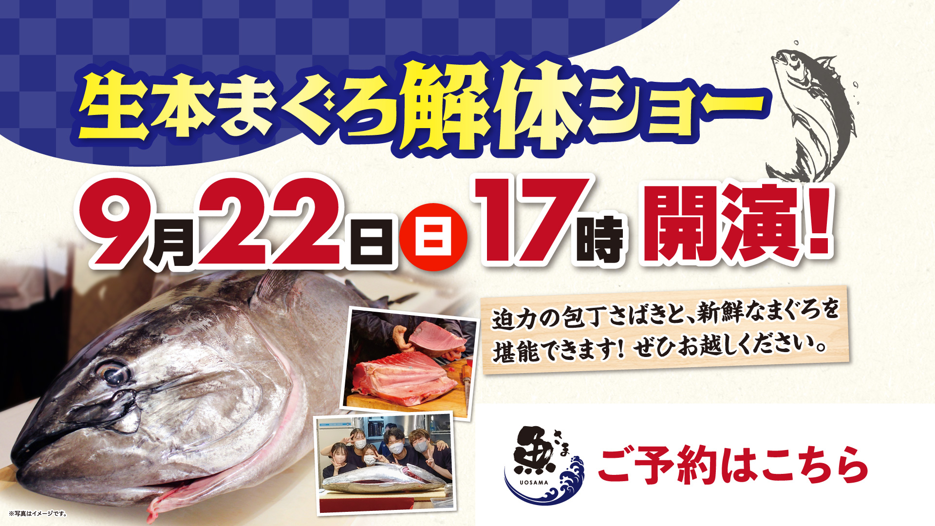 まぐろさん専用 まぐろさん用 【公式通販】