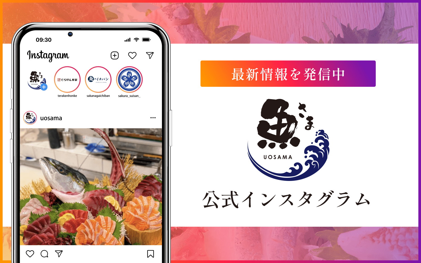 公式インスタグラム