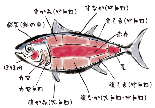 記事 【コラム】本まぐろをあますところなく食らい尽くす至福。のアイキャッチ画像