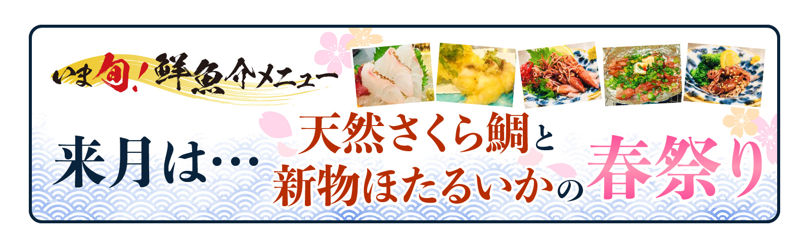 記事 「いま旬！」【3月限定】～活天然さくら鯛と新物ホタルイカの春祭り～開催の﻿お﻿知﻿ら﻿せのアイキャッチ画像