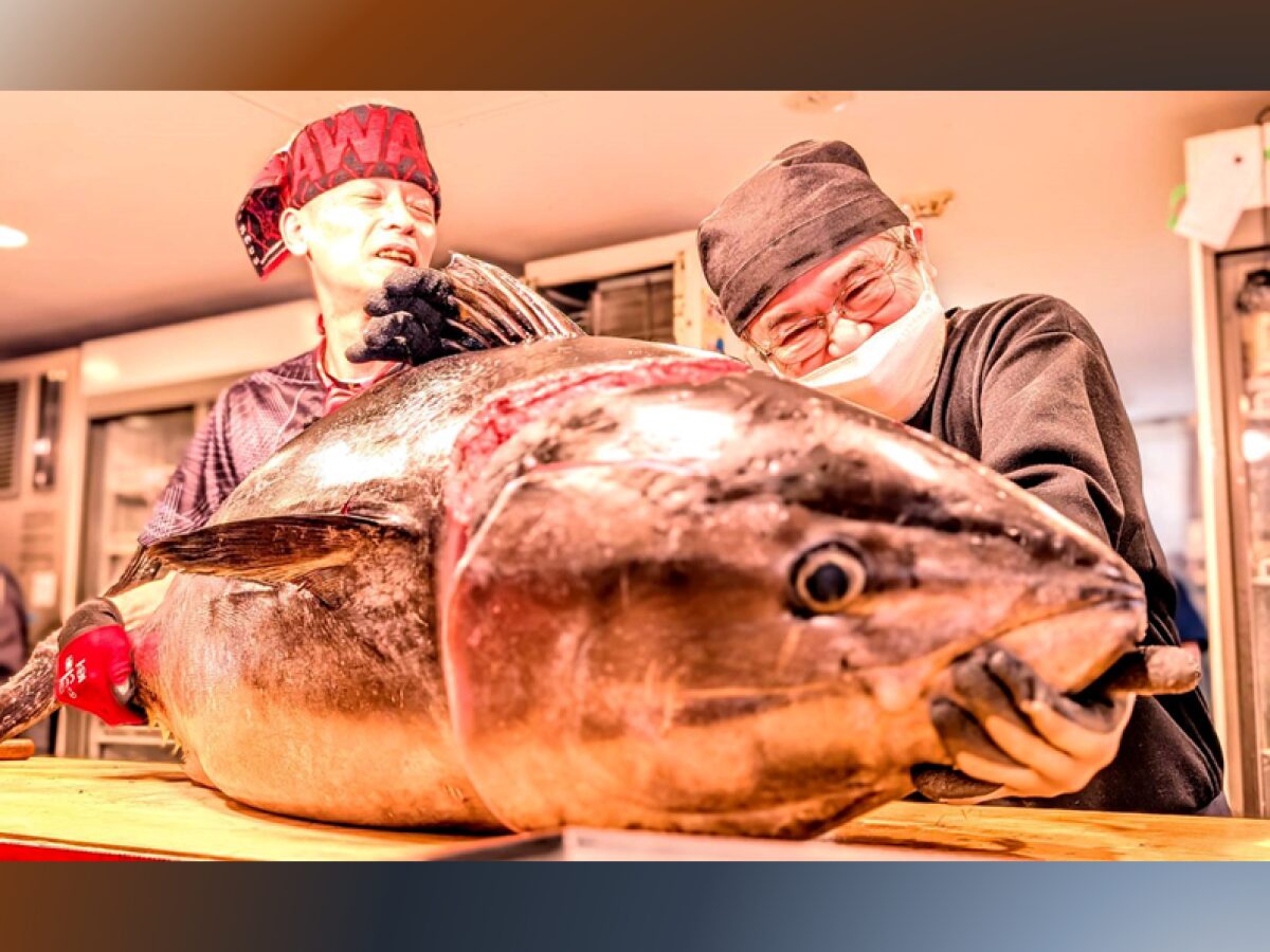 記事 豊洲市場直送！“生”本マグロ解体ショーのアイキャッチ画像