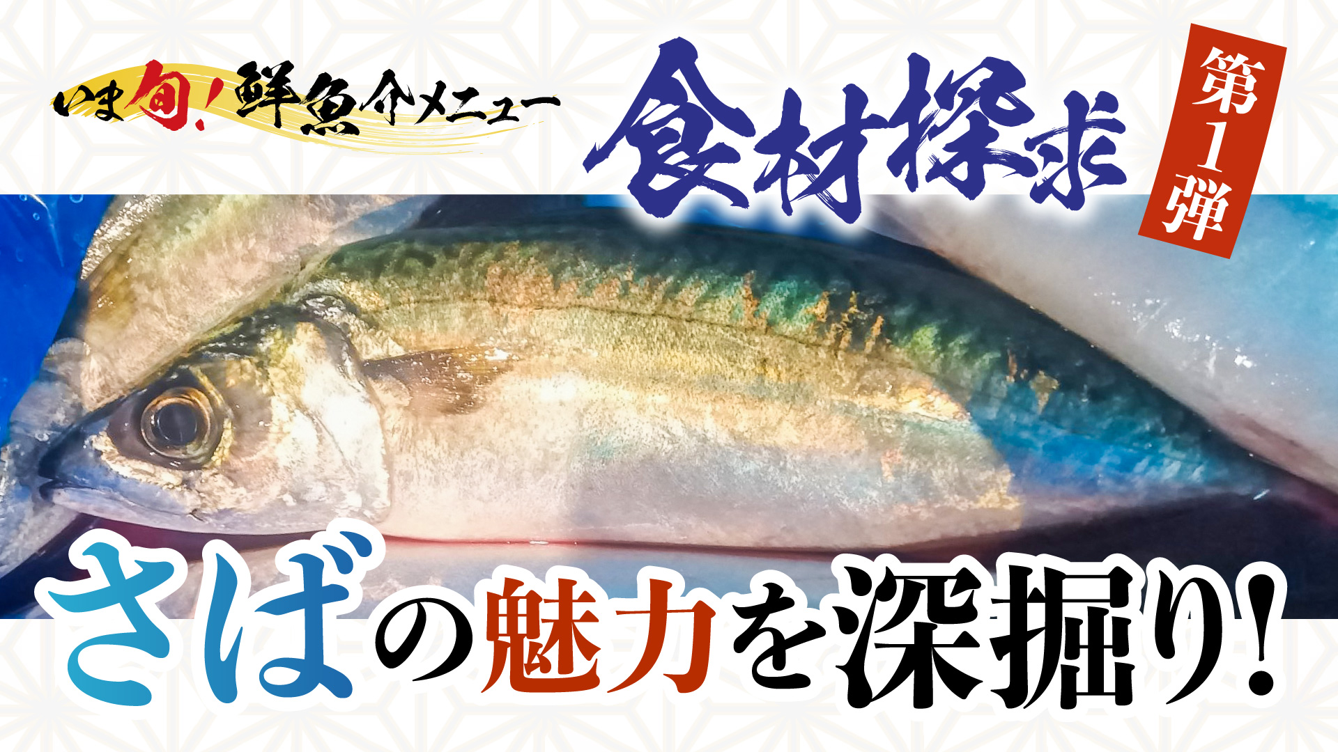 記事 “いま旬！”食材探求＜第1弾＞さばの魅力を深掘り！のアイキャッチ画像