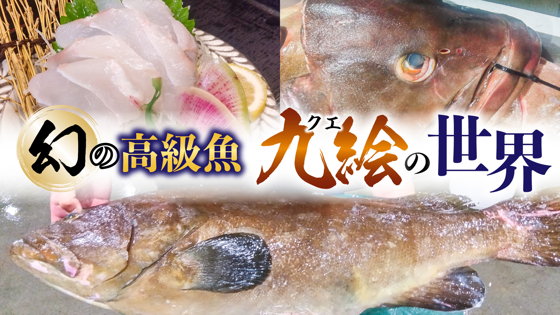 記事 “極上の味わい、九絵（くえ）の世界﻿ご﻿紹﻿介﻿”のアイキャッチ画像