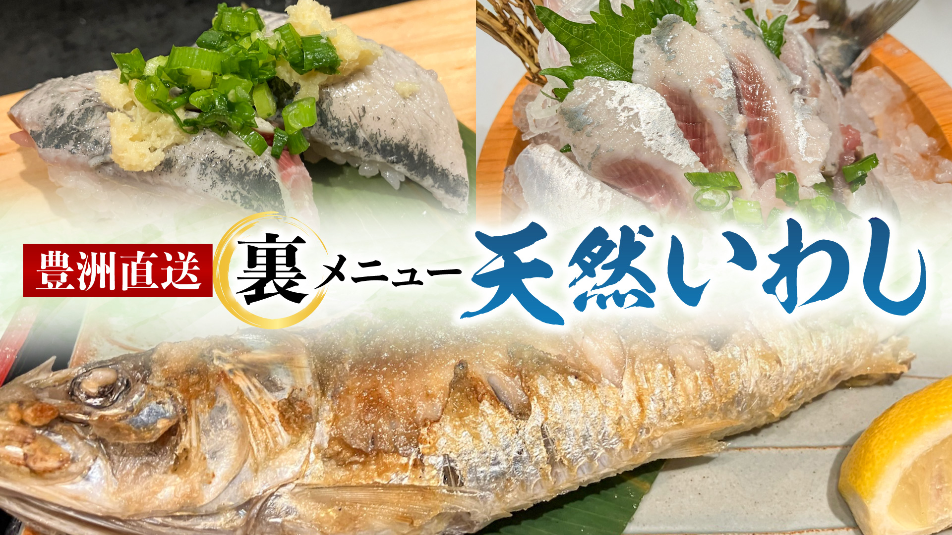 記事 その日の「最高」を、品書きの外に。豊洲市場直送・天然いわしの裏メニューが語る鮮度の真髄のアイキャッチ画像